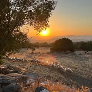 https://su-saucu.in-sardinia.net